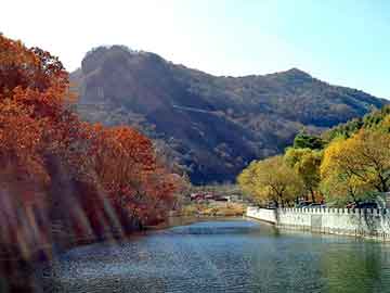 澳门二四六天天彩图库，春风论坛